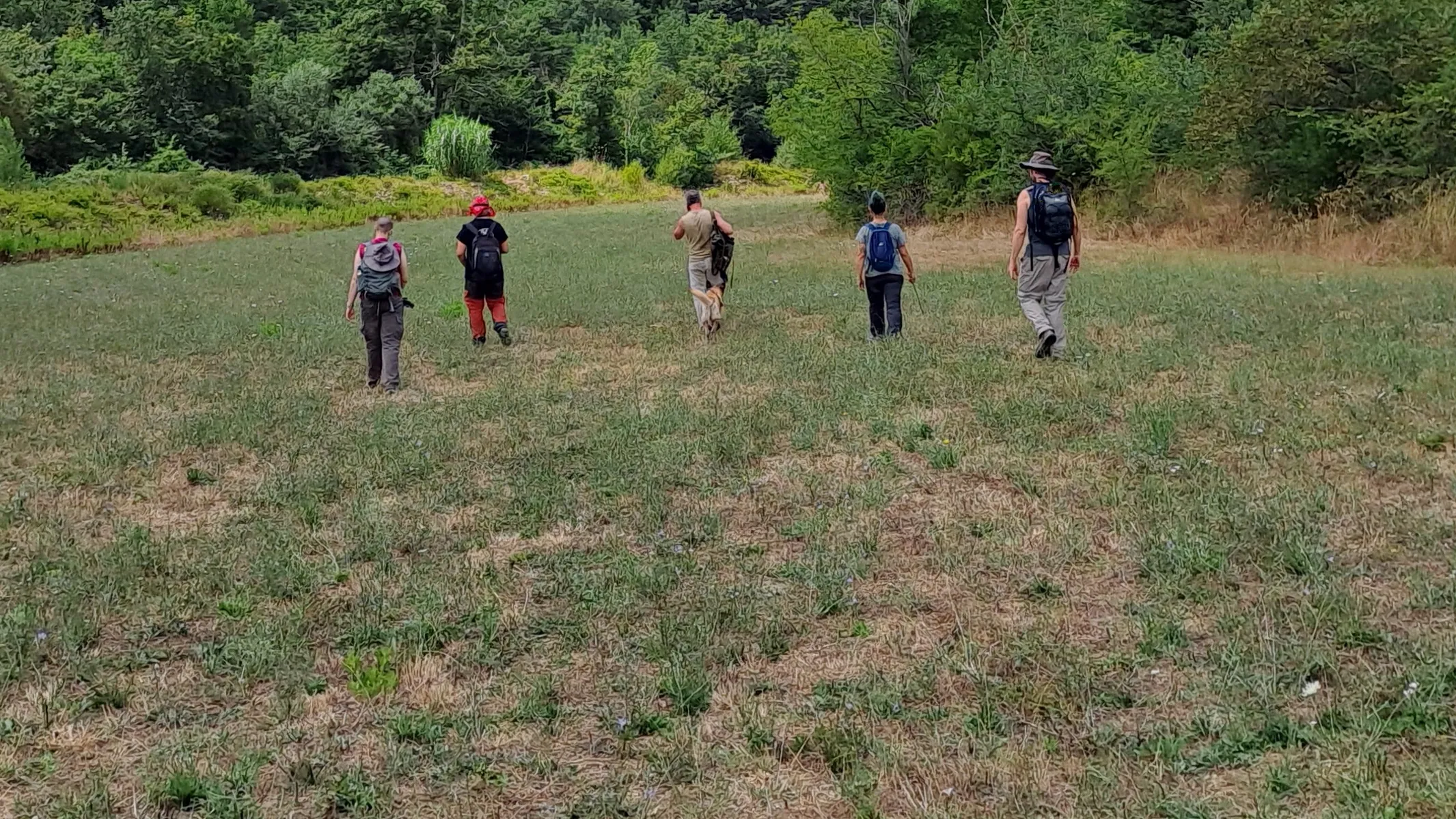 Archaeology field school crew completing a surface survey in the Tuscan countryside